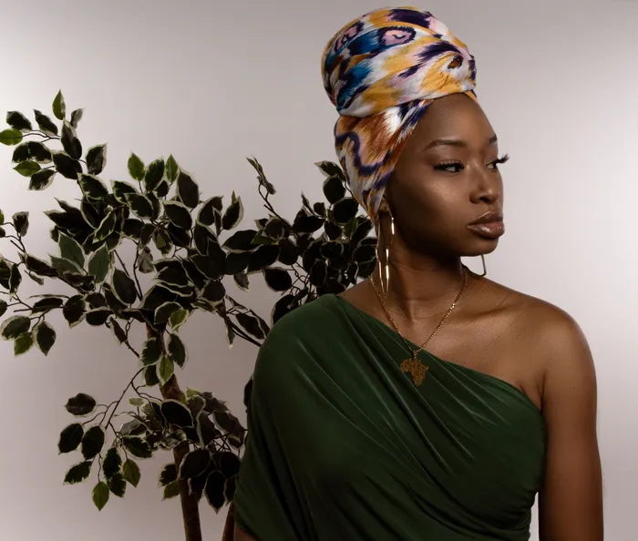 Africa Map Earrings The Signature Collection Co Earrings