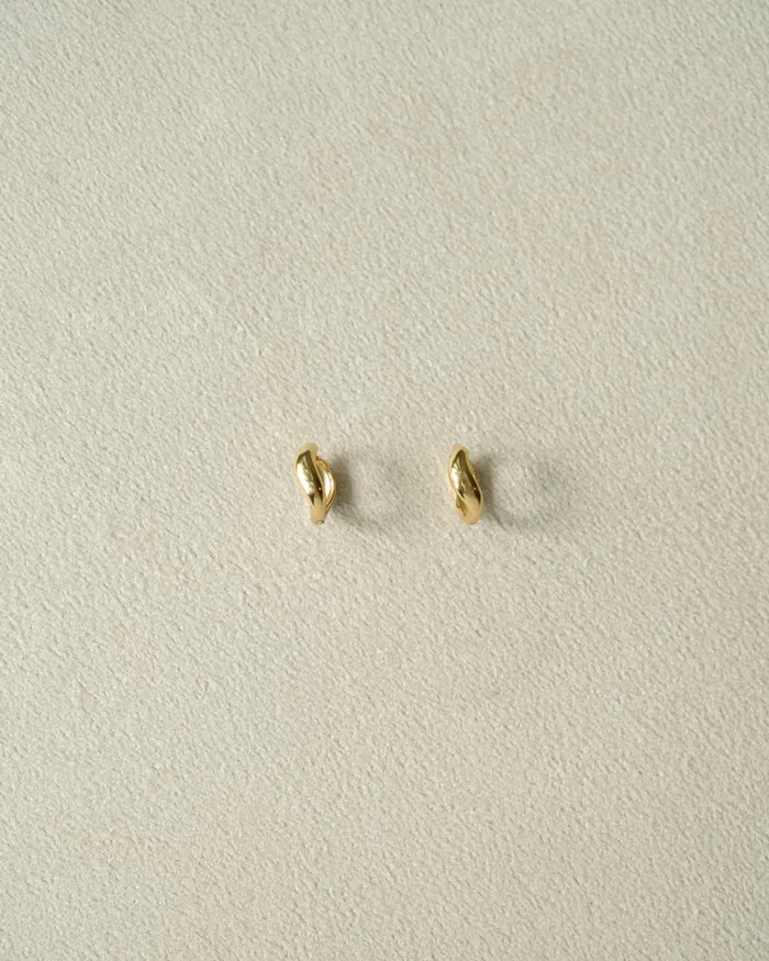 Mini Ore Twisted Hoop Earrings MYJN Earrings