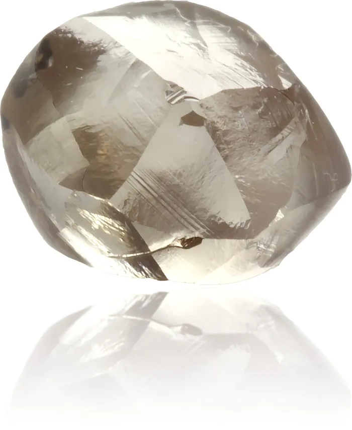 Natural Brown Diamond Rough 134 ct Rough Langerman Diamonds Earrings