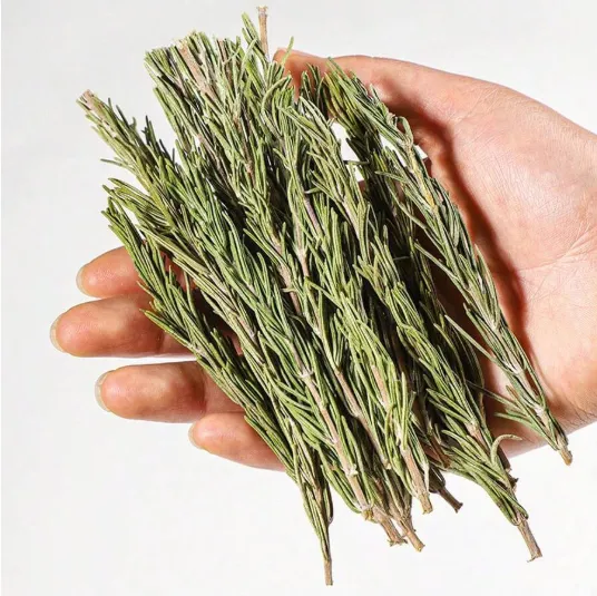 RESIN ART HUB Earrings Natural Fresh Dried Rosemary Leaves for Candle Making