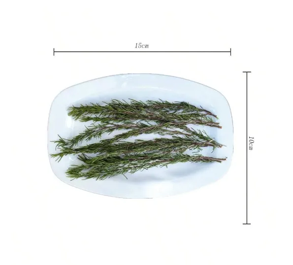 RESIN ART HUB Earrings Natural Fresh Dried Rosemary Leaves for Candle Making