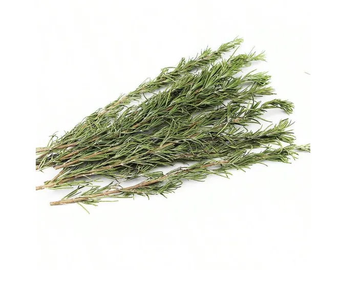 RESIN ART HUB Earrings Natural Fresh Dried Rosemary Leaves for Candle Making