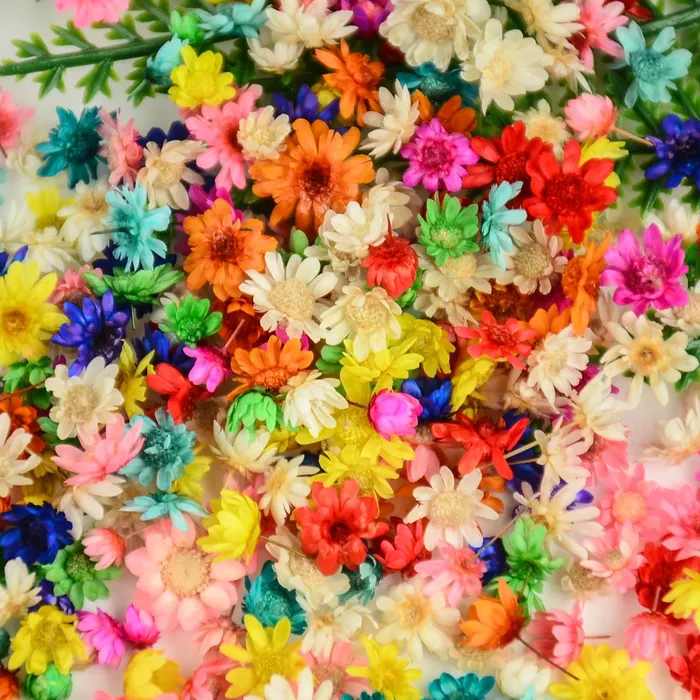 Resinarthub Dried Colorful Tiny Flowers for Resin Art Necklaces