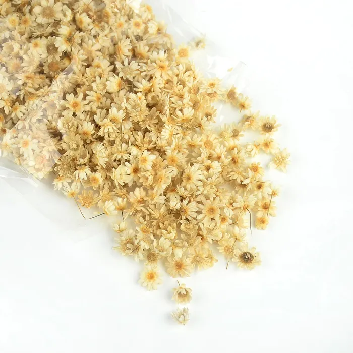 Resinarthub Dried Colorful Tiny Flowers for Resin Art Necklaces
