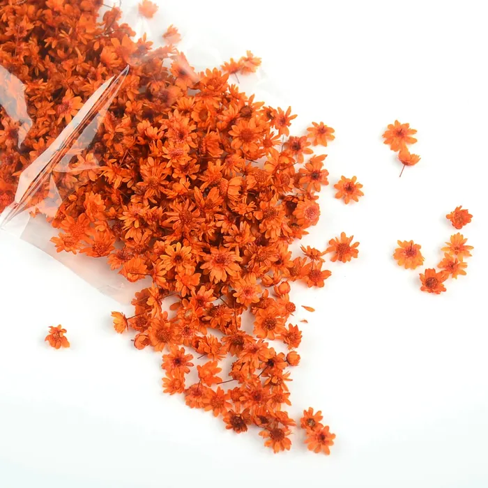 Resinarthub Dried Colorful Tiny Flowers for Resin Art Necklaces
