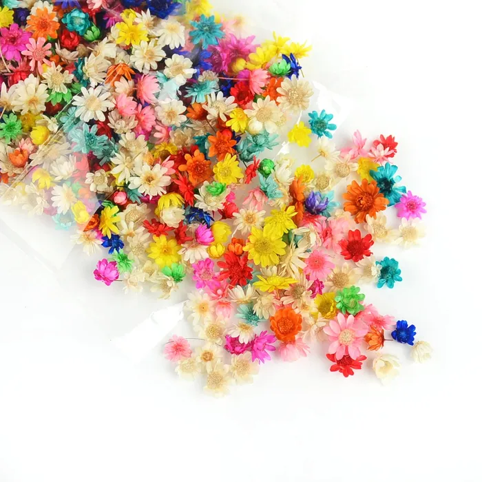 Resinarthub Dried Colorful Tiny Flowers for Resin Art Necklaces