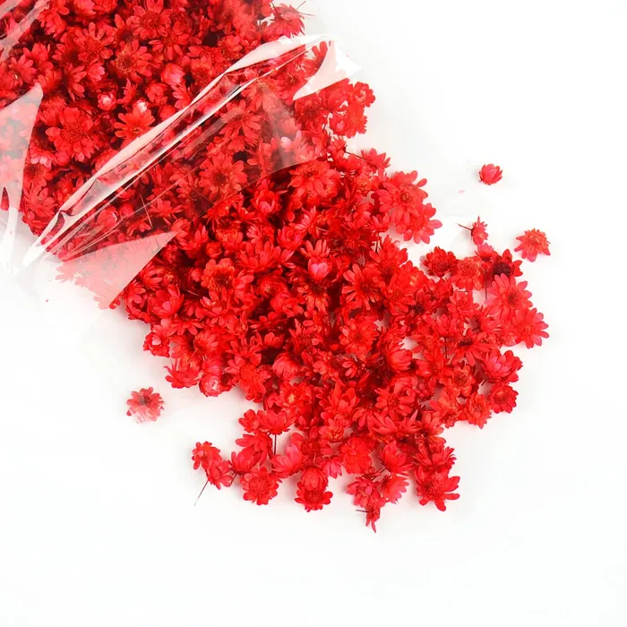Resinarthub Dried Colorful Tiny Flowers for Resin Art Necklaces