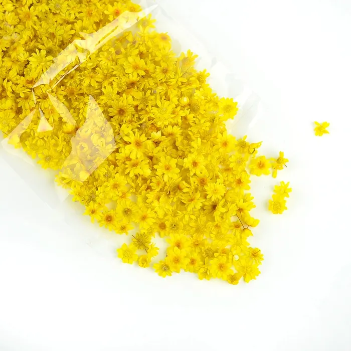 Resinarthub Dried Colorful Tiny Flowers for Resin Art Necklaces