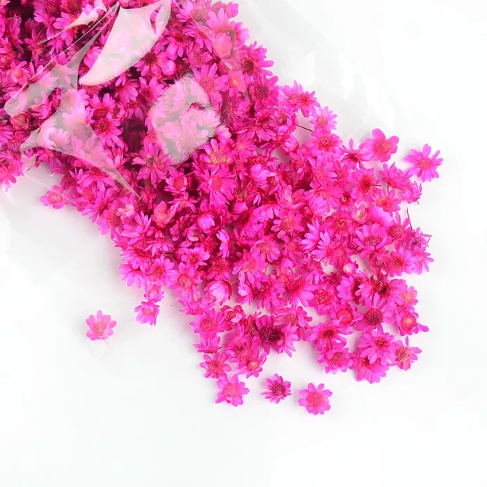 Resinarthub Dried Colorful Tiny Flowers for Resin Art Necklaces