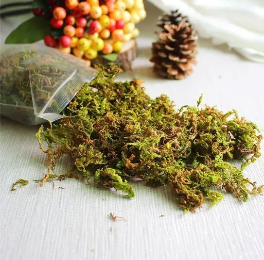 Resinarthub Mixed Green Artificial Moss For Art and Craft Necklaces
