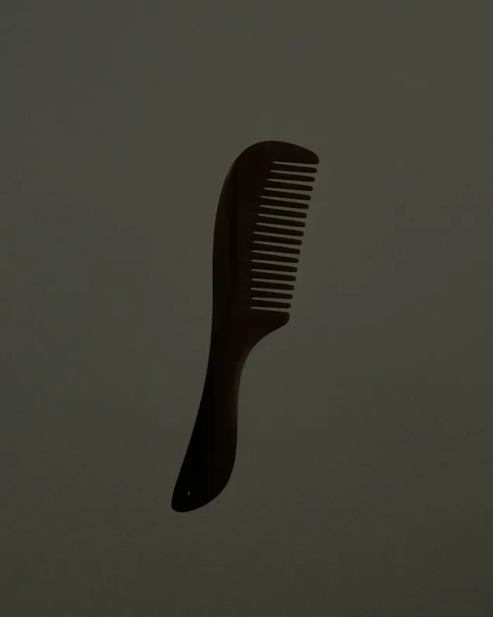 The Petite Dresser Horn Comb MYJN Earrings