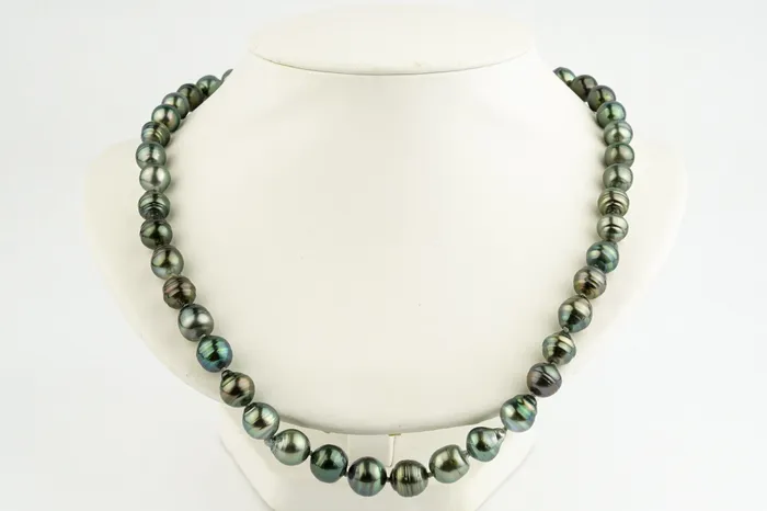 Tropical Rainforest 9118mm Tahitian Pearl Strand Kamoka Pearl Earrings